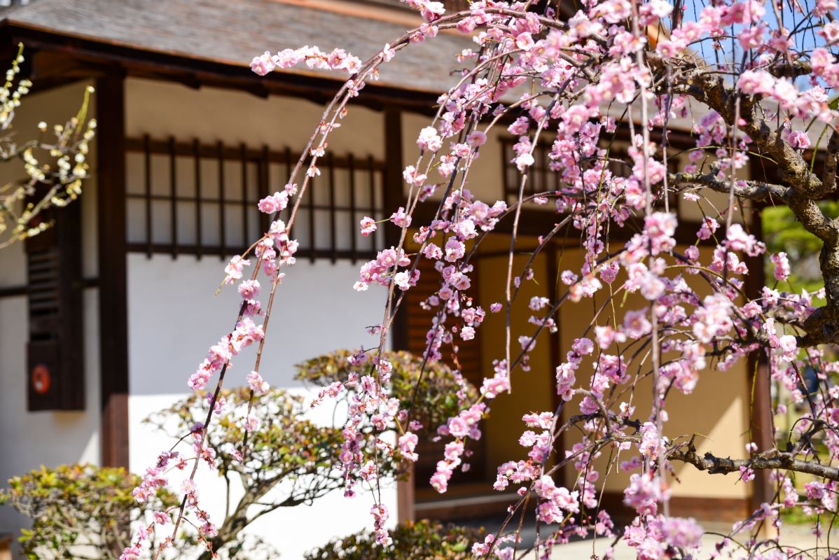 Shukkeien Garden Hiroshima